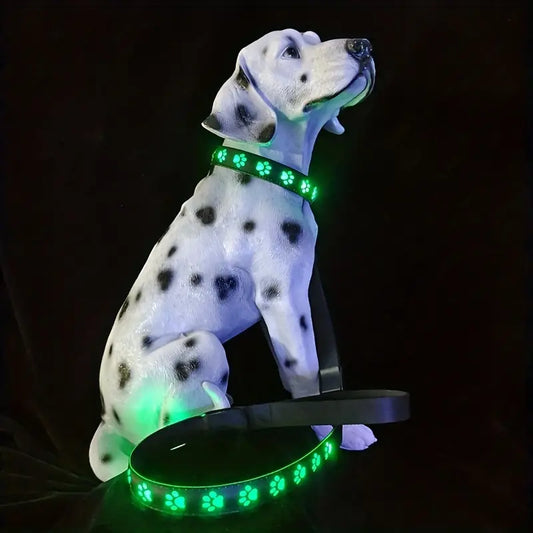 LED Collar for Dogs