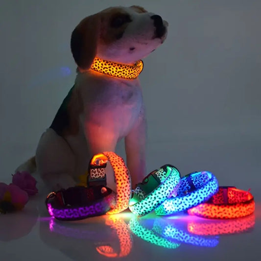 Glow Dog Collar